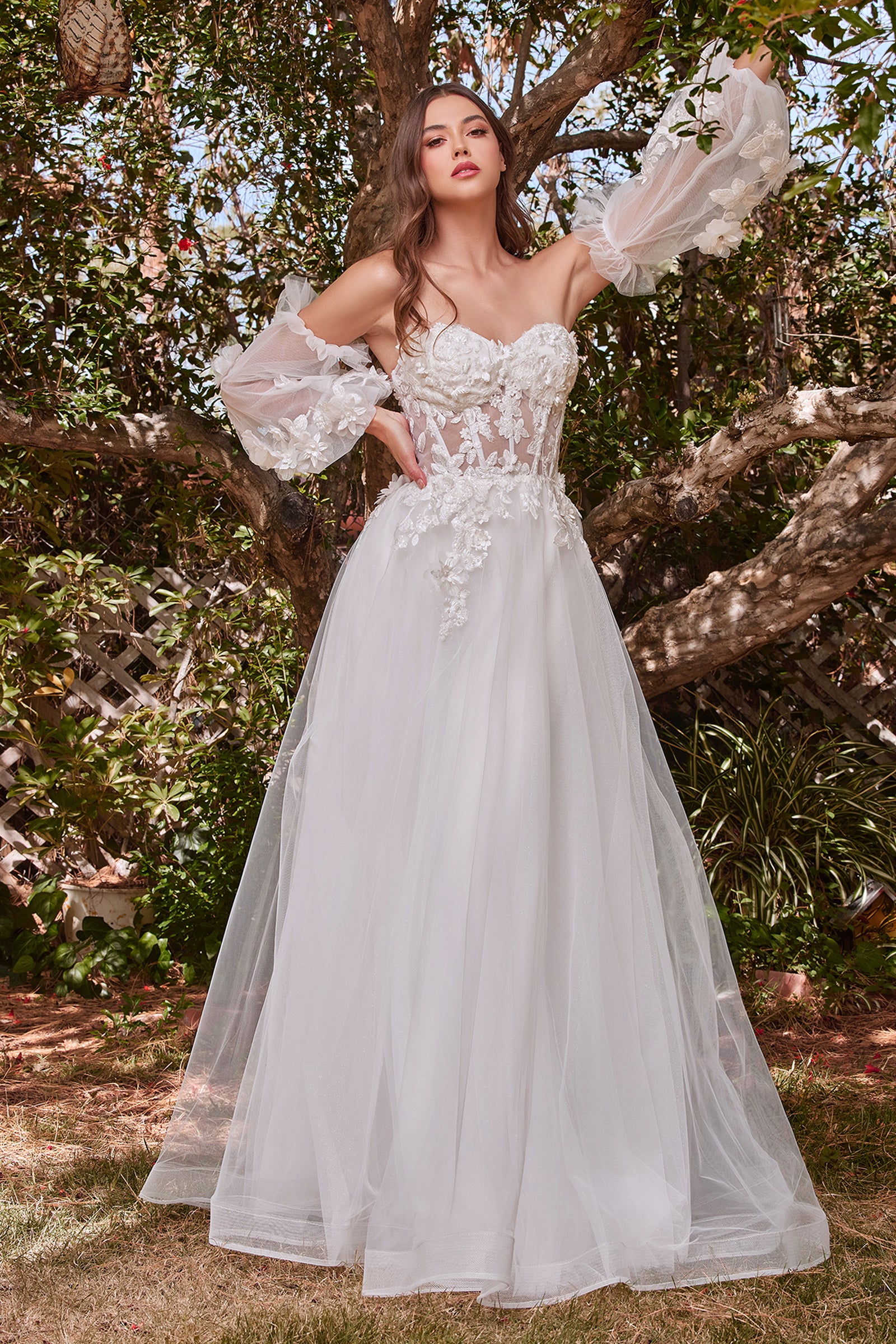AVACW1962 – Avanta Collection